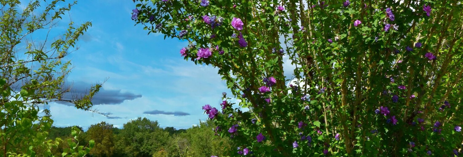 Maison  76 m² à vendre à Romagne (33760)