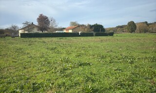Photo N° 4
