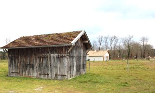 Photo N° 2