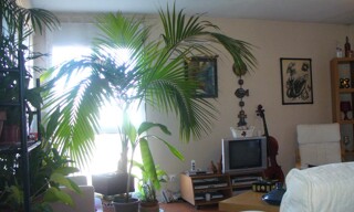 Photo N° 2