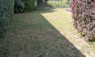 Photo N° 5