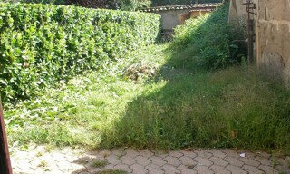 Photo N° 3