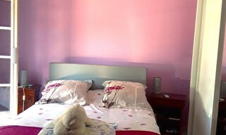 Photo N° 6