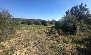 Maison  3350 m² à vendre à Pignan (34570)
