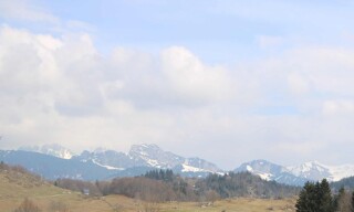 Photo N° 2