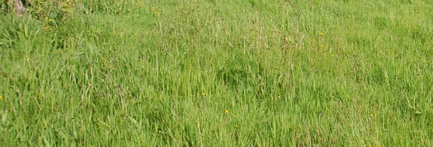 Terrain  391 m² à vendre à Fécamp (76400)