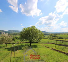 Photo Ferme de 3 pièces Cluny