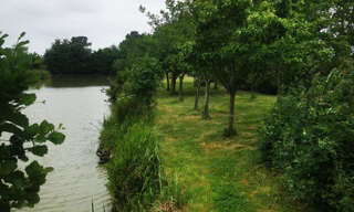 Photo N° 3