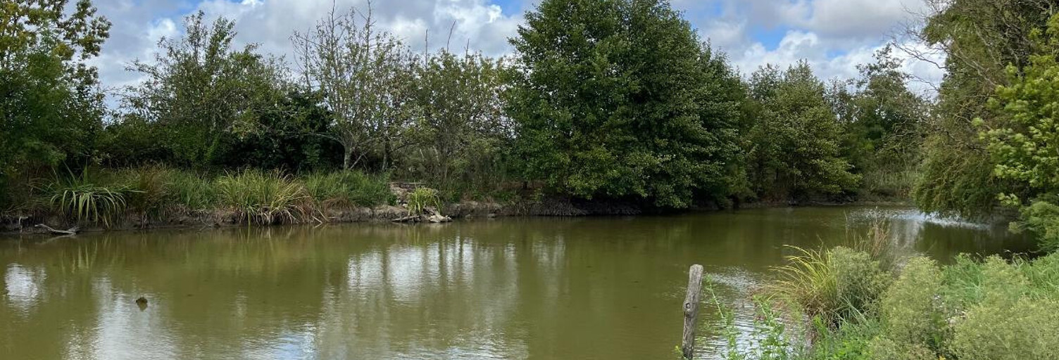 Terrain  9295 m² à vendre à Talmont-Saint-Hilaire (85440)