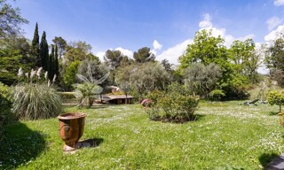 Terrain  5000 m² à vendre à Opio (06650)