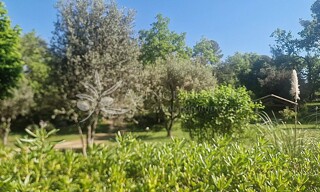 Photo N° 5