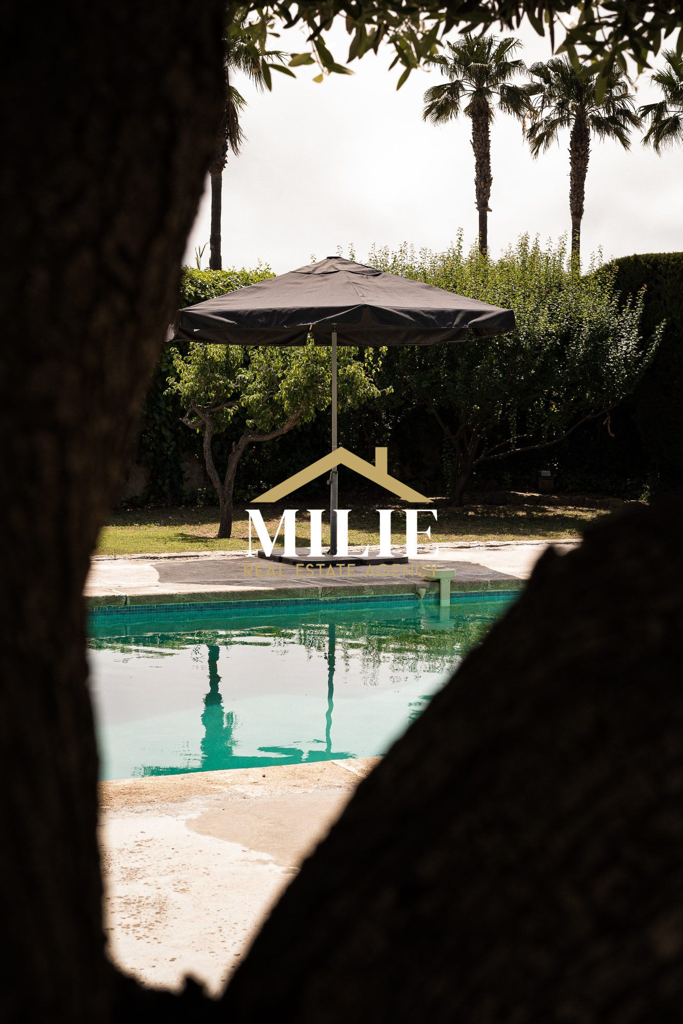 Villa / Maison  T8 à vendre Bandol 83150