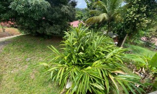 Photo N° 3