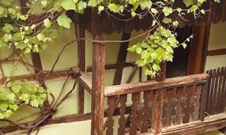 Photo N° 3