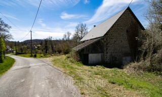 Photo N° 6