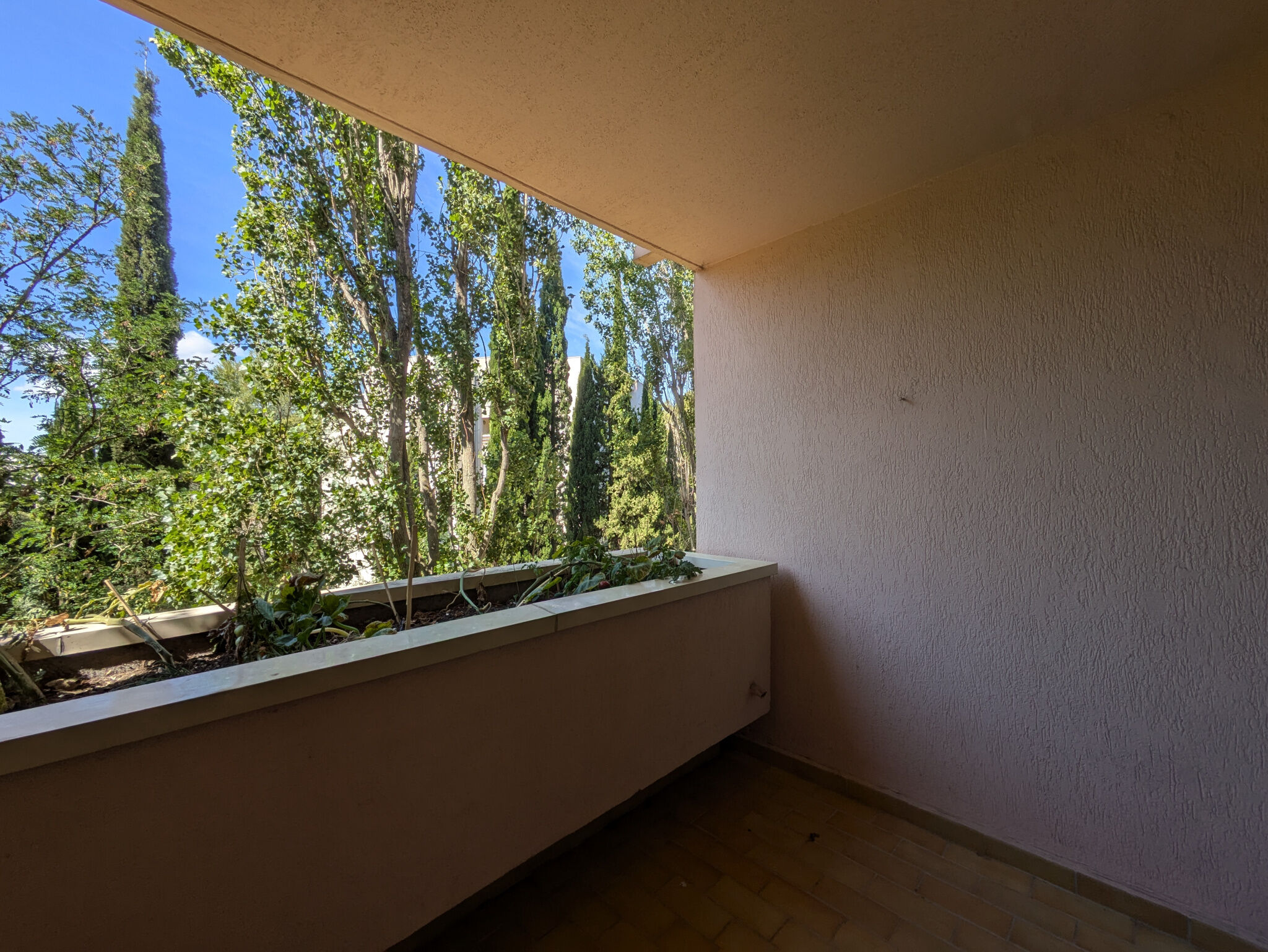 Appartement 1 pièces  à louer Montpellier 34090