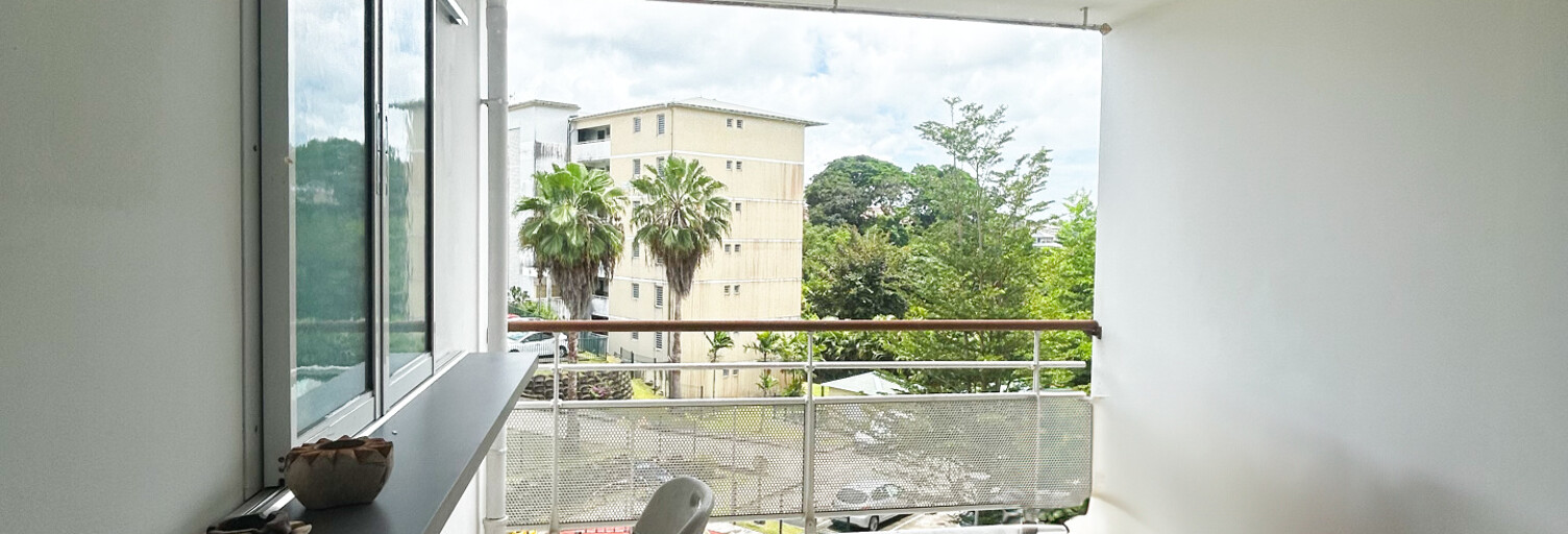 Appartement 2 Pièces 45 m² à vendre à Ducos (97224)