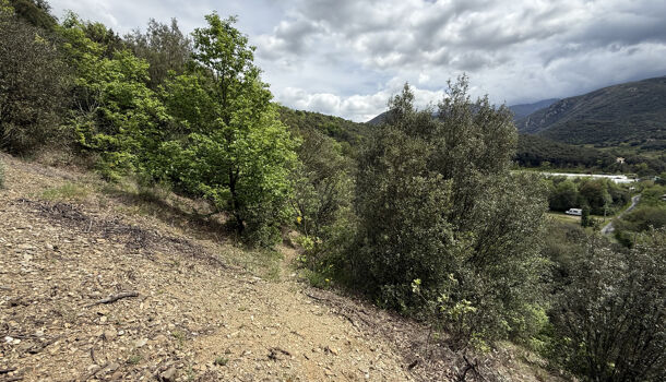 Terrain  à vendre Reynès 66400