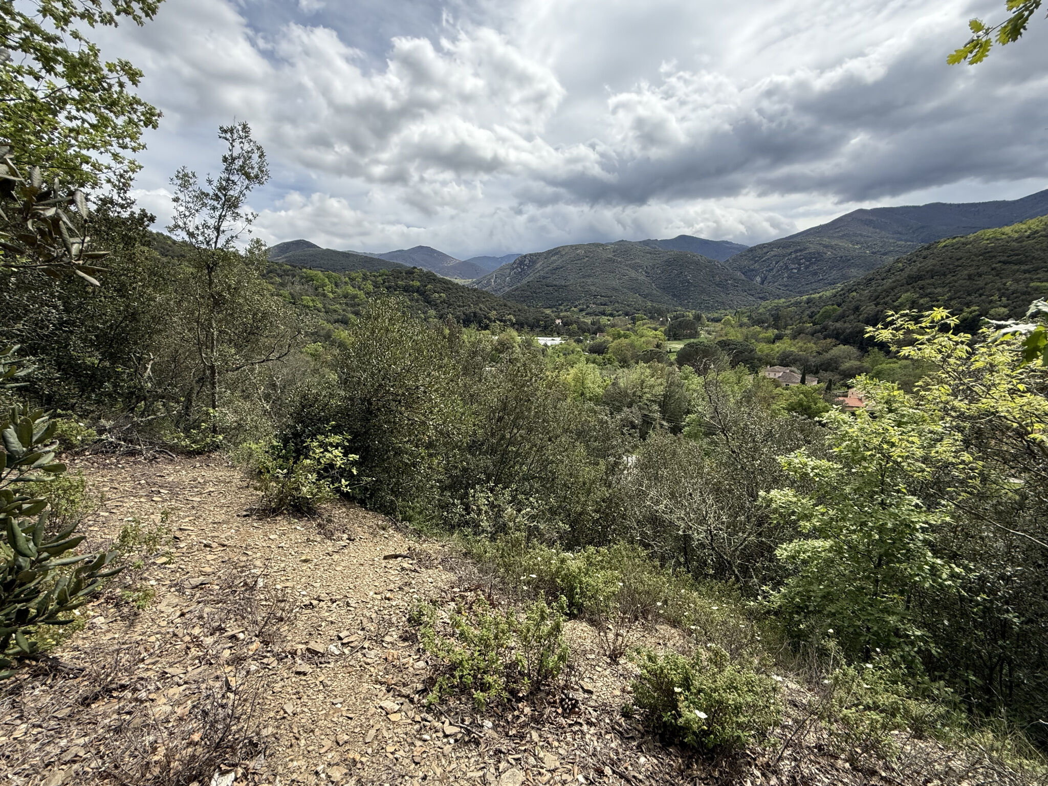 Terrain  à vendre Reynès 66400