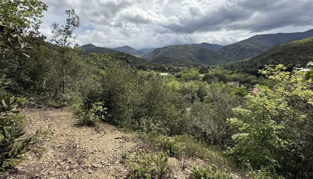 Terrain  à vendre Reynès 66400
