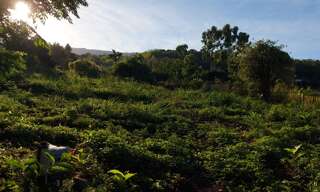 Terrain  370 m² à vendre à Saint-Paul (97423)