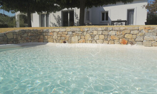 Photo N° 4