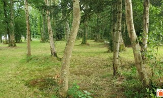 Photo N° 8