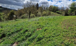 Terrain  1549 m² à vendre à Fontrieu (81260)