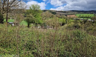 Terrain  1549 m² à vendre à Fontrieu (81260)