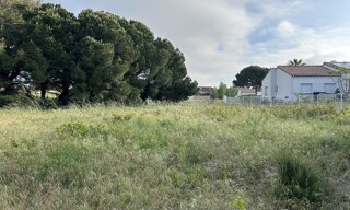 Photo N° 3