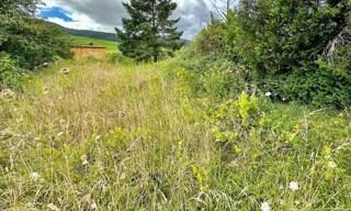 Terrain  1950 m² à vendre à Dambach-la-Ville (67650)