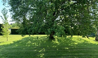 Photo N° 5