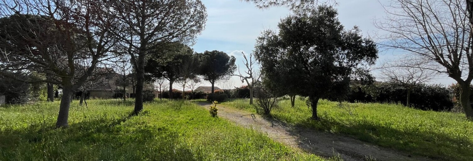 Terrain  896 m² à vendre à Portiragnes (34420)