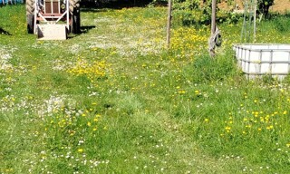 Terrain  911 m² à vendre à Villers-la-Chèvre (54870)