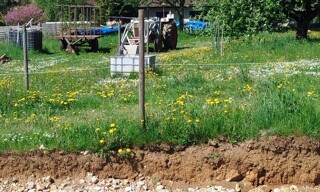 Photo N° 3