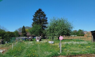 Photo N° 4
