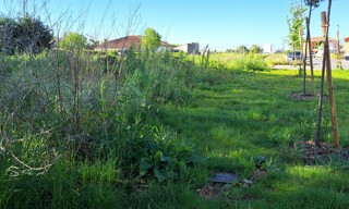 Photo N° 4