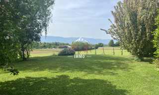 Photo N° 4