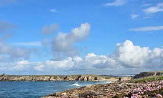 Maison 4 Pièces 60 m² à vendre à Saint-Pierre-Quiberon (56510)