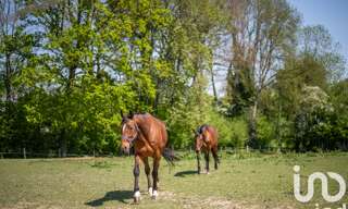 Maison 5 Pièces 142 m² à vendre à Quetteville (14130)