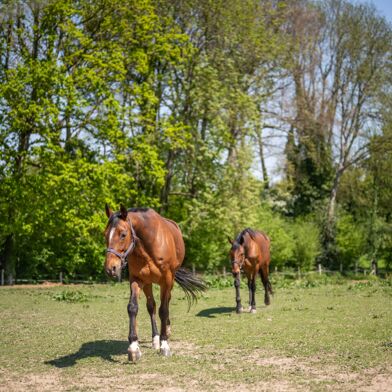 Maison 5 pièces 420000 €