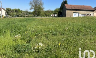 Photo N° 5