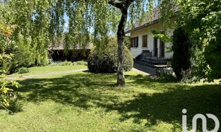Photo N° 6