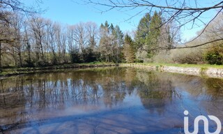 Photo N° 4
