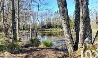 Photo N° 5