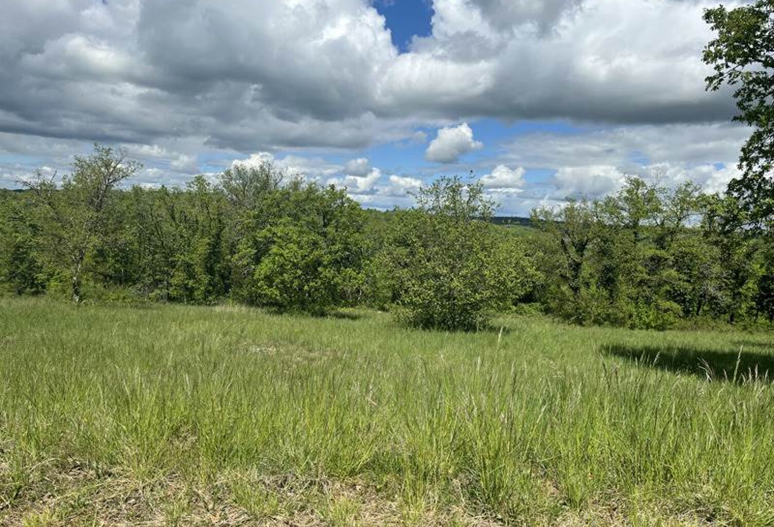 Terrain à bâtir de 0 pièces principales — photo 1