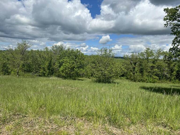 Terrain à bâtir de 0 pièces principales — photo 1