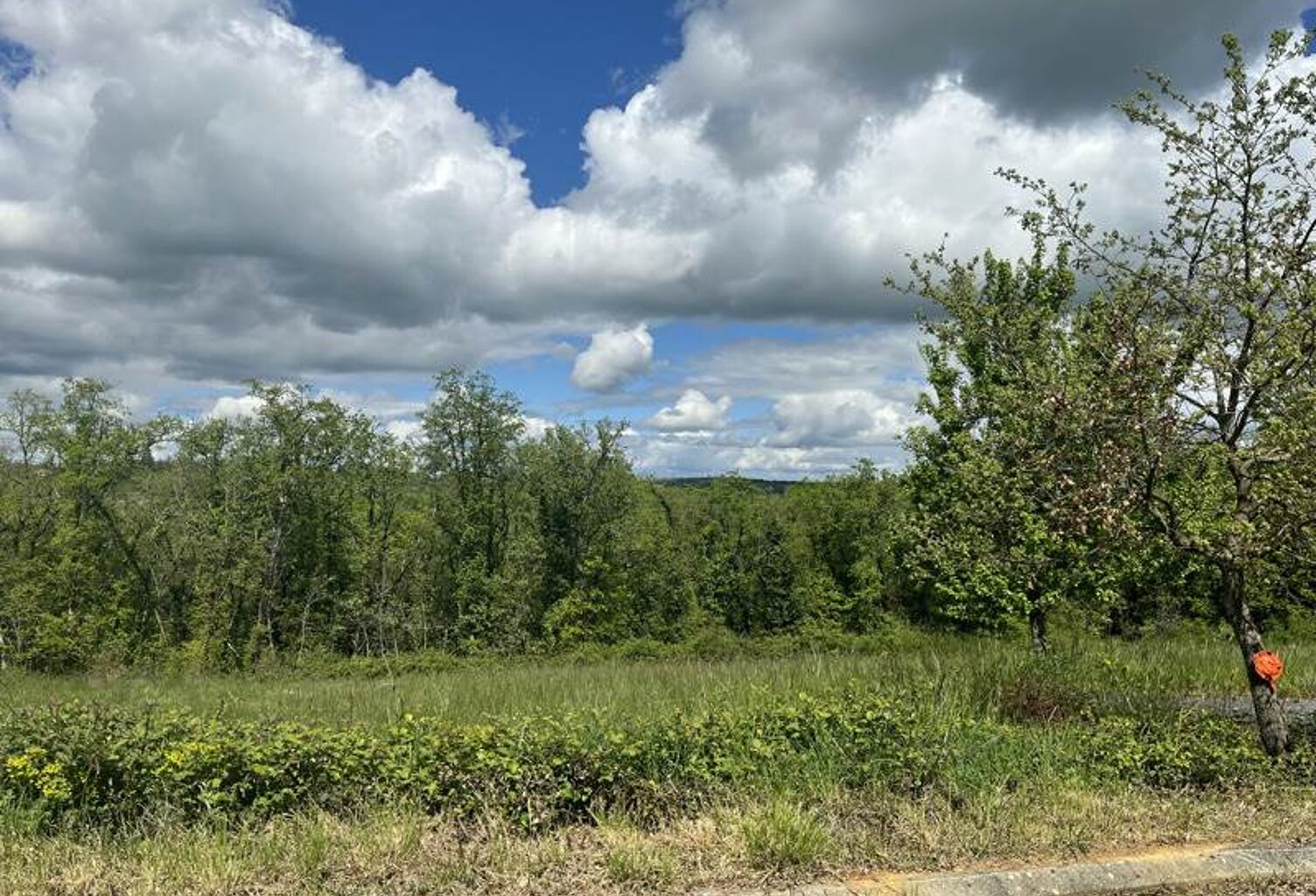 Terrain à bâtir de 0 pièces principales — photo 1