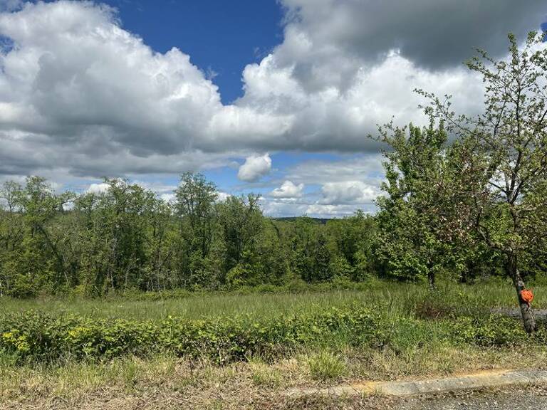 Terrain à bâtir de 0 pièces principales — photo 1