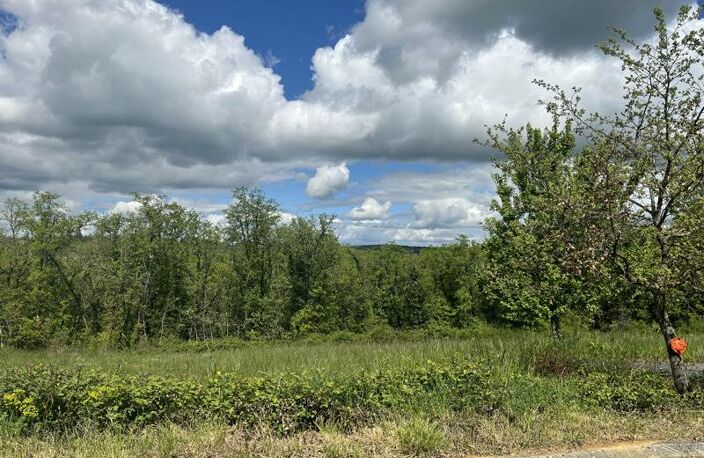 Terrain à bâtir de 0 pièces principales — photo 2